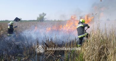A tűzoltók is megérezték a kerti munkálatok kezdetét