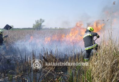 A tűzoltók is megérezték a kerti munkálatok kezdetét