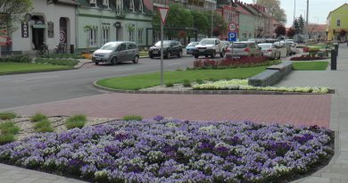 Nevezett a város a „Virágos Magyarország” versenyen. Arany virág díjat kapott Marcali!