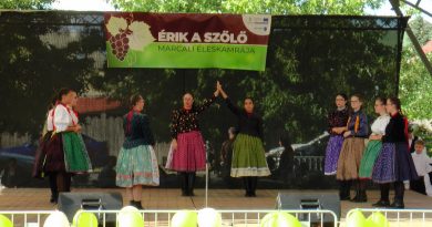 Érik a szőlő! Szüreti fesztivál Marcaliban – VIDEÓ
