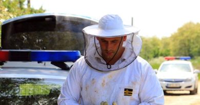 Méhészként helyszínelt