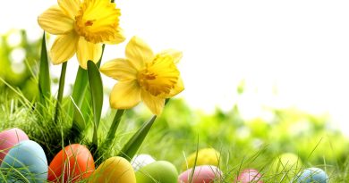 Idén is jön a marcali húsvéti nyuszi