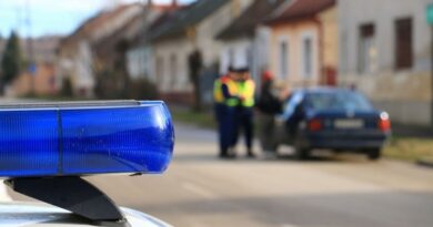 Engedély nélküli vezetés miatt került fogdába 