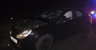 Vadat gázolt egy autó a 68-as főúton