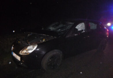 Vadat gázolt egy autó a 68-as főúton