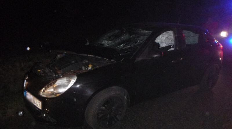 Vadat gázolt egy autó a 68-as főúton