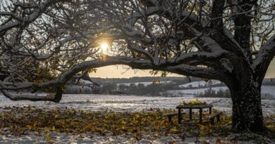 Köszönjük, hogy felhívásunkra több száz képet küldtetek