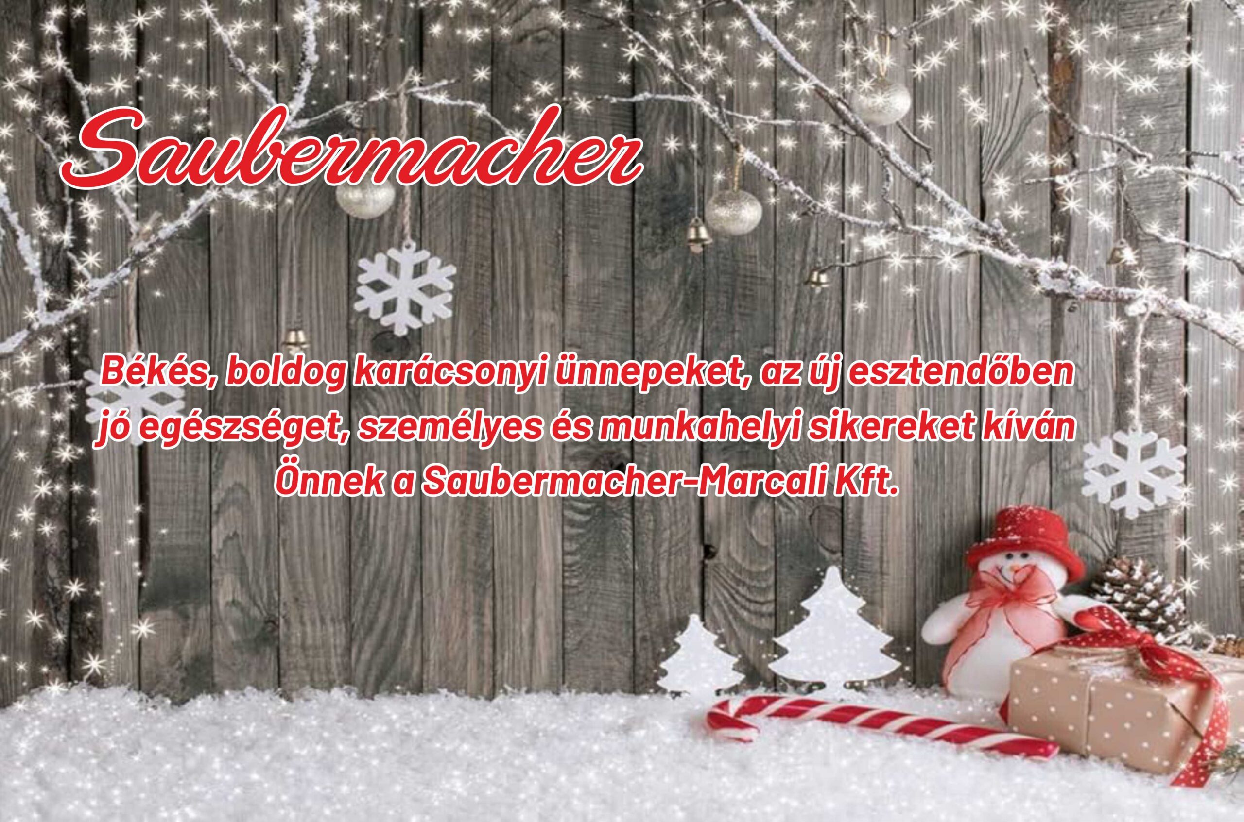 saubermacher_2025_karacsony