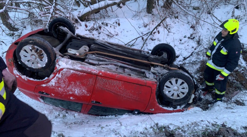 Főként műszaki mentésekhez riasztották a tűzoltókat a héten