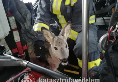 Nyolc tűzesetnél és tizennyolc műszaki mentésnél kérték a somogyi tűzoltók segítségét a hétvégén.