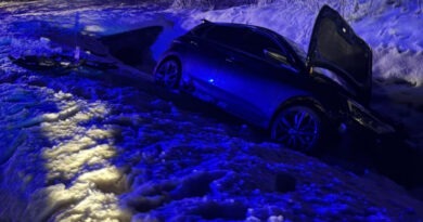 Vadat gázolt egy személyautó