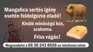 szensz_disznovagas2025