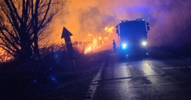 Tűz a fonyódi berekben
