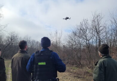 Közös ellenőrzés az erdőben