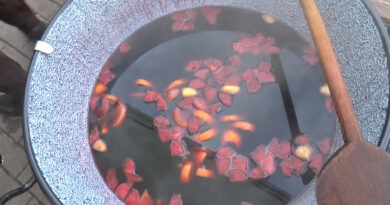 16. alkalom. Borforraló Fesztivál Marcaliban – VIDEÓ