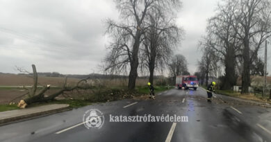 Hétvégi tűzoltói beavatkozások – sok munkát adott a viharos szél