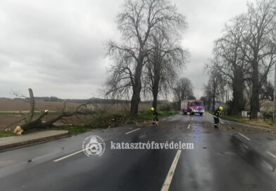 Hétvégi tűzoltói beavatkozások – sok munkát adott a viharos szél