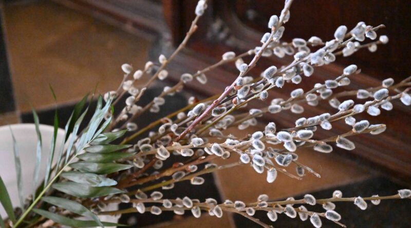 Virágvasárnappal elkezdődött a 2026. évi Nagyhét Marcaliban is