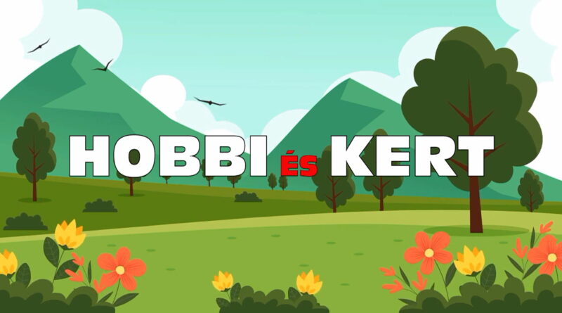 Irány a természet. Metszési útmutató a hobbikertésztől – VIDEÓ