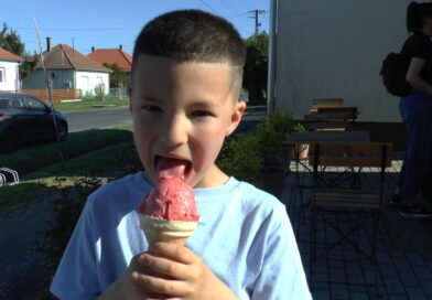 Paszták és ízfokozók nélkül. Hódít a valódi gyümölcsökből készült hűsítő – VIDEÓ