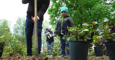 Bővült a rózsalugas. Az elmúlt évben születetteket ünnepelték – VIDEÓ