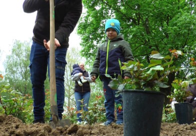 Bővült a rózsalugas. Az elmúlt évben születetteket ünnepelték – VIDEÓ