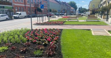 Színpompás nyári virágok kerültek kiültetésre Marcali központjába