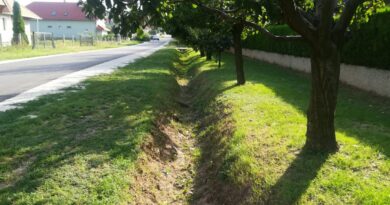 FELHÍVÁS – Közterületen a vegyszeres gyomirtás tilos