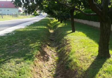 FELHÍVÁS – Közterületen a vegyszeres gyomirtás tilos