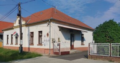 Időközi választás jön Sávolyon: feloszlatta magát a képviselő-testület