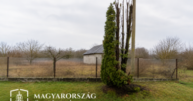 A tuján vett revansot a csalódott férfi