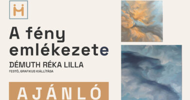 A Kortárs Galéria új időszaki kiállításán Démuth Réka Lilla festő, grafikus mutatkozik be a marcali közönségnek.
