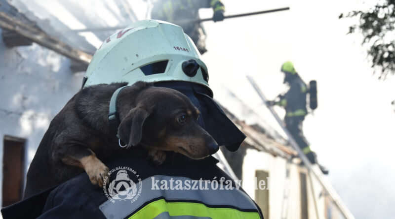 Épületek égtek Somogysárdon