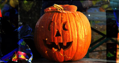 Szellemes délután. Halloween a Fürdő parkban – VIDEÓ