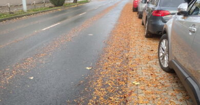 Figyelem az utakon: Beköszöntött az őszi csúszásveszély!