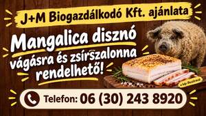 szensz_zsirszalonna